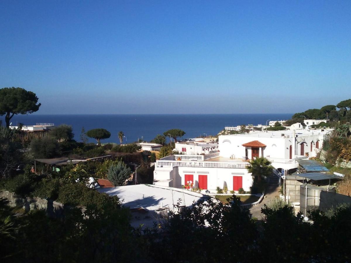 Apartment Ponente By Interhome Forio di Ischia Zewnętrze zdjęcie